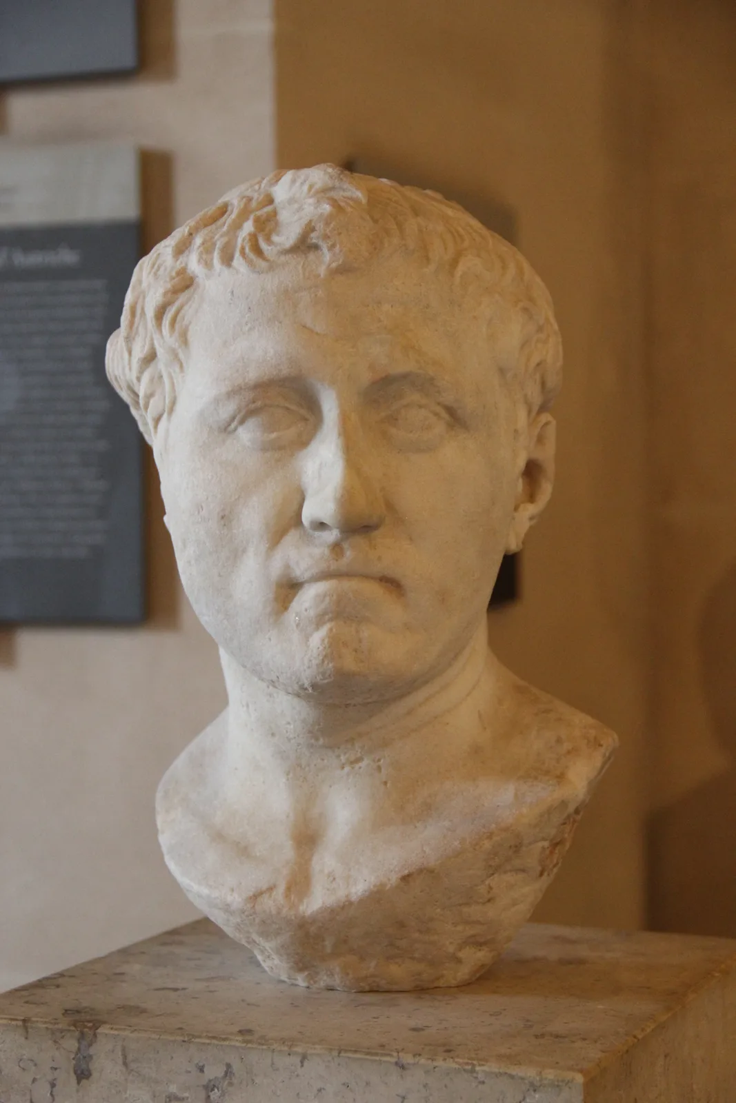 Tête de portrait en marbre du jeune Pompée, sculpture romaine antique conservée au musée du Louvre.